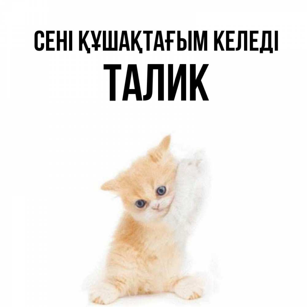 Күн сайын ашық хат с именем, Талик сені құшақтағым келеді я хочу очень скорее обнимаешек Онлайн тегін жүктеп алу тілектері бар керемет карта 