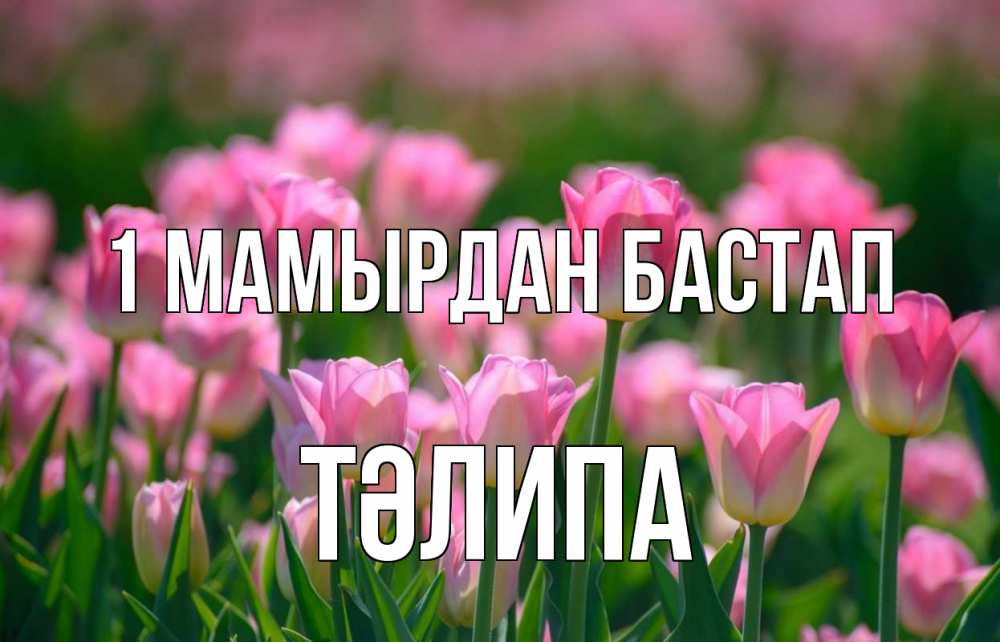 Күн сайын ашық хат с именем, ТӘЛИПА 1 мамырдан бастап С 1 мая Онлайн тегін жүктеп алу тілектері бар керемет карта 
