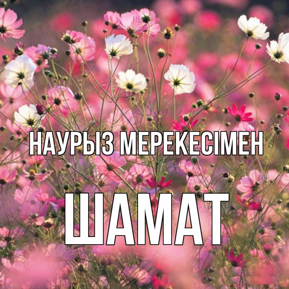 Күн сайын ашық хат с именем, ШАМАТ Наурыз мерекесімен красиво 1 Онлайн тегін жүктеп алу тілектері бар керемет карта 