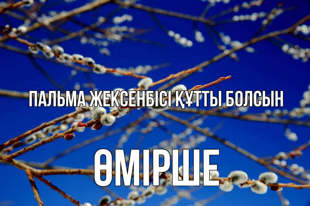 Күн сайын ашық хат с именем, ӨМІРШЕ Пальма жексенбісі құтты болсын верба Онлайн тегін жүктеп алу тілектері бар керемет карта 