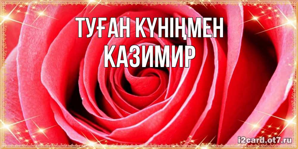 Күн сайын ашық хат с именем, Казимир Туған күніңмен розовая роза очень крупный бутон Онлайн тегін жүктеп алу тілектері бар керемет карта 