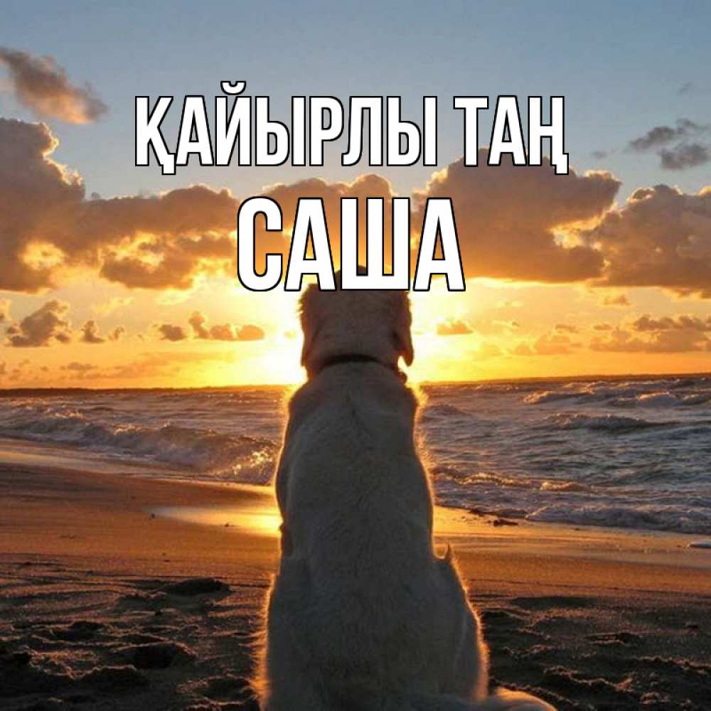 Күн сайын ашық хат с именем, Саша Қайырлы таң восход солнца Онлайн тегін жүктеп алу тілектері бар керемет карта 
