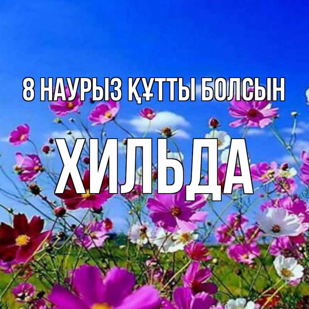 Күн сайын ашық хат с именем, Хильда 8 наурыз құтты болсын цветы Онлайн тегін жүктеп алу тілектері бар керемет карта 
