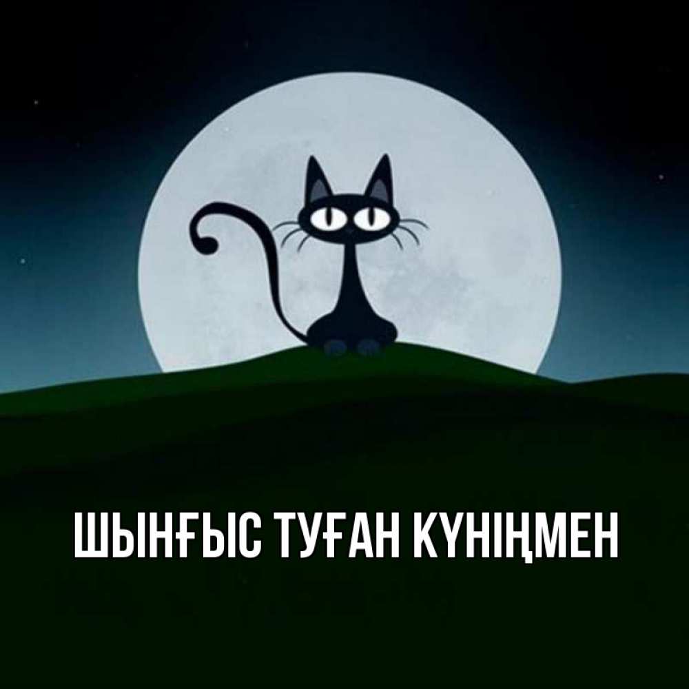 Картинка  с именем , ШЫНҒЫС! ТУҒАН КҮНІҢМЕН!
