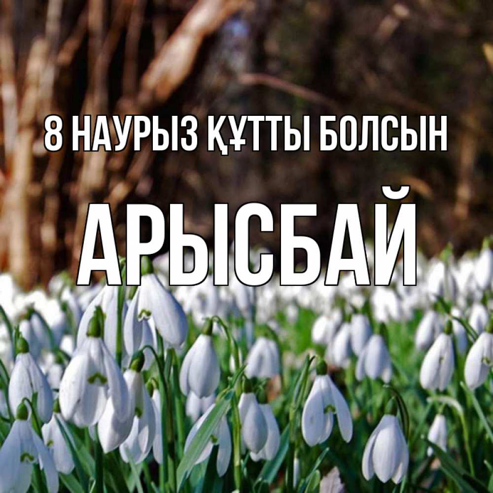 Күн сайын ашық хат с именем, Арысбай 8 наурыз құтты болсын с подснежниками 1 Онлайн тегін жүктеп алу тілектері бар керемет карта 