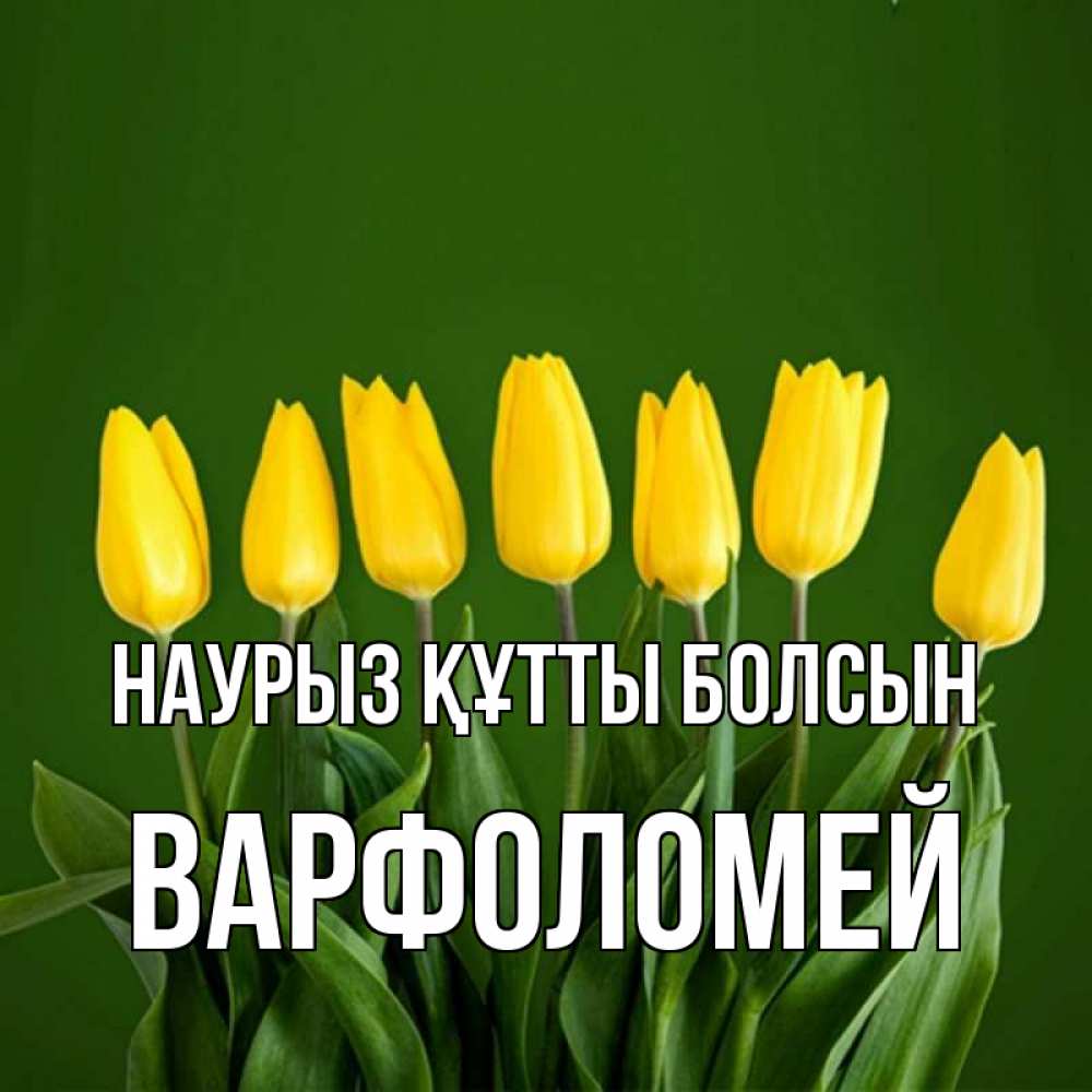 Күн сайын ашық хат с именем, Варфоломей Наурыз құтты болсын желтого цвета 3 Онлайн тегін жүктеп алу тілектері бар керемет карта 