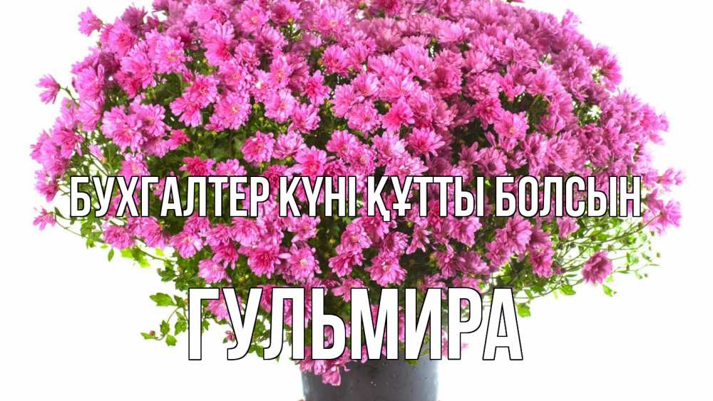 Күн сайын ашық хат с именем, Гульмира бухгалтер күні құтты болсын с днем бухгалтера Онлайн тегін жүктеп алу тілектері бар керемет карта 