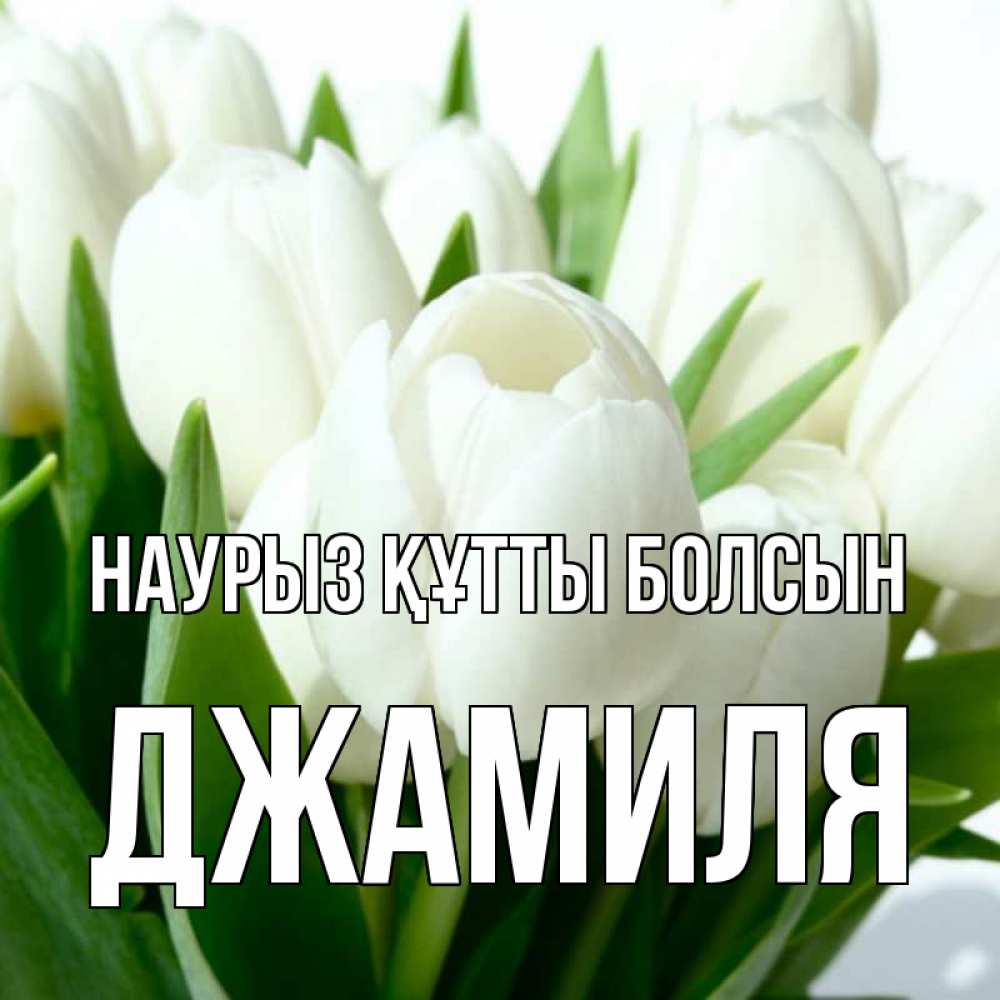 Күн сайын ашық хат с именем, Джамиля Наурыз құтты болсын цветы Онлайн тегін жүктеп алу тілектері бар керемет карта 