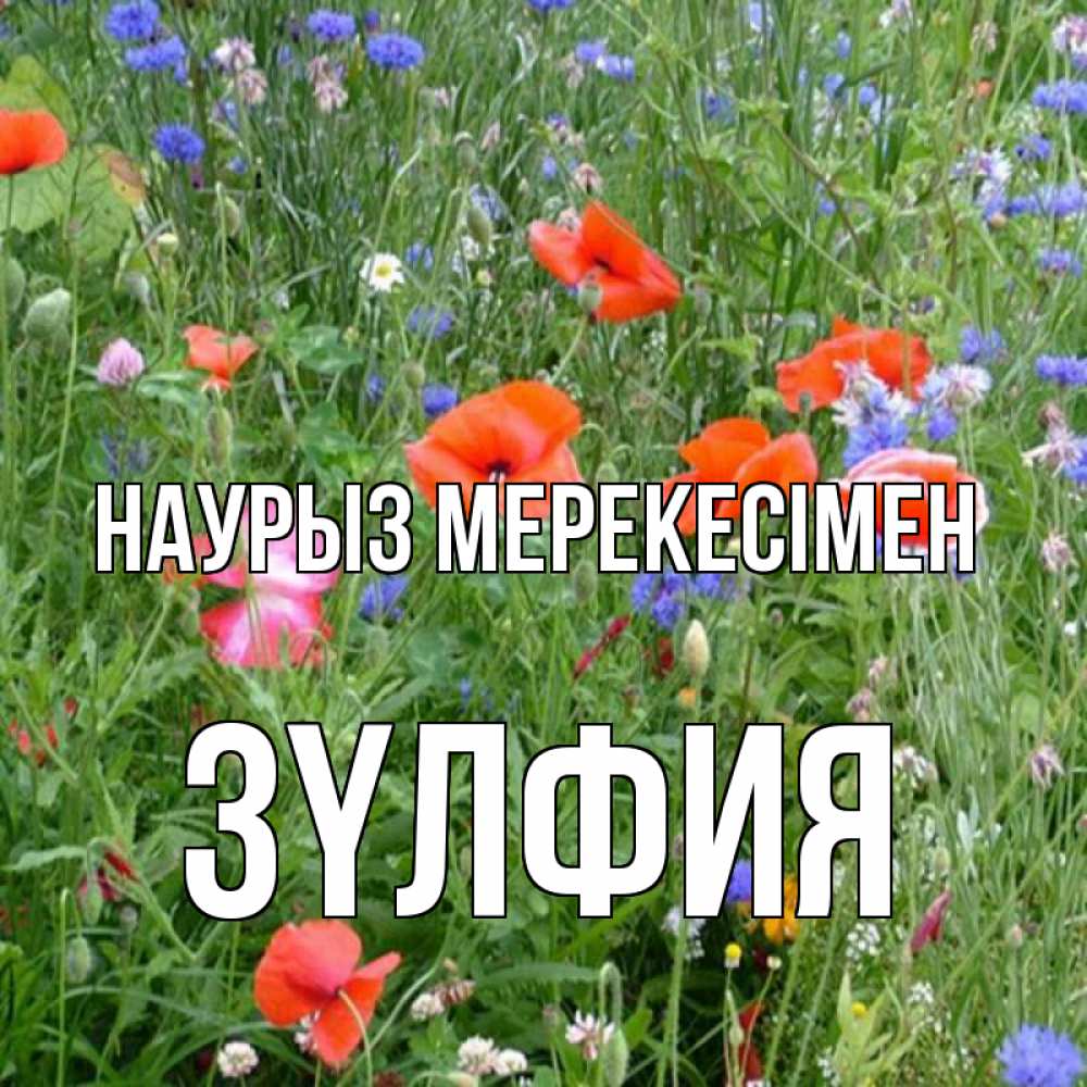 Күн сайын ашық хат с именем, ЗҮЛФИЯ Наурыз мерекесімен праздник весны наурыз супер открытка Онлайн тегін жүктеп алу тілектері бар керемет карта 
