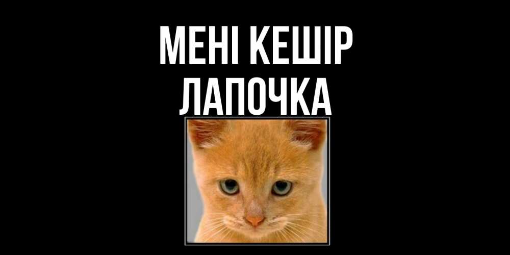 Күн сайын ашық хат с именем, Лапочка Мені кешір рыжий грустный кот просит прощения Онлайн тегін жүктеп алу тілектері бар керемет карта 