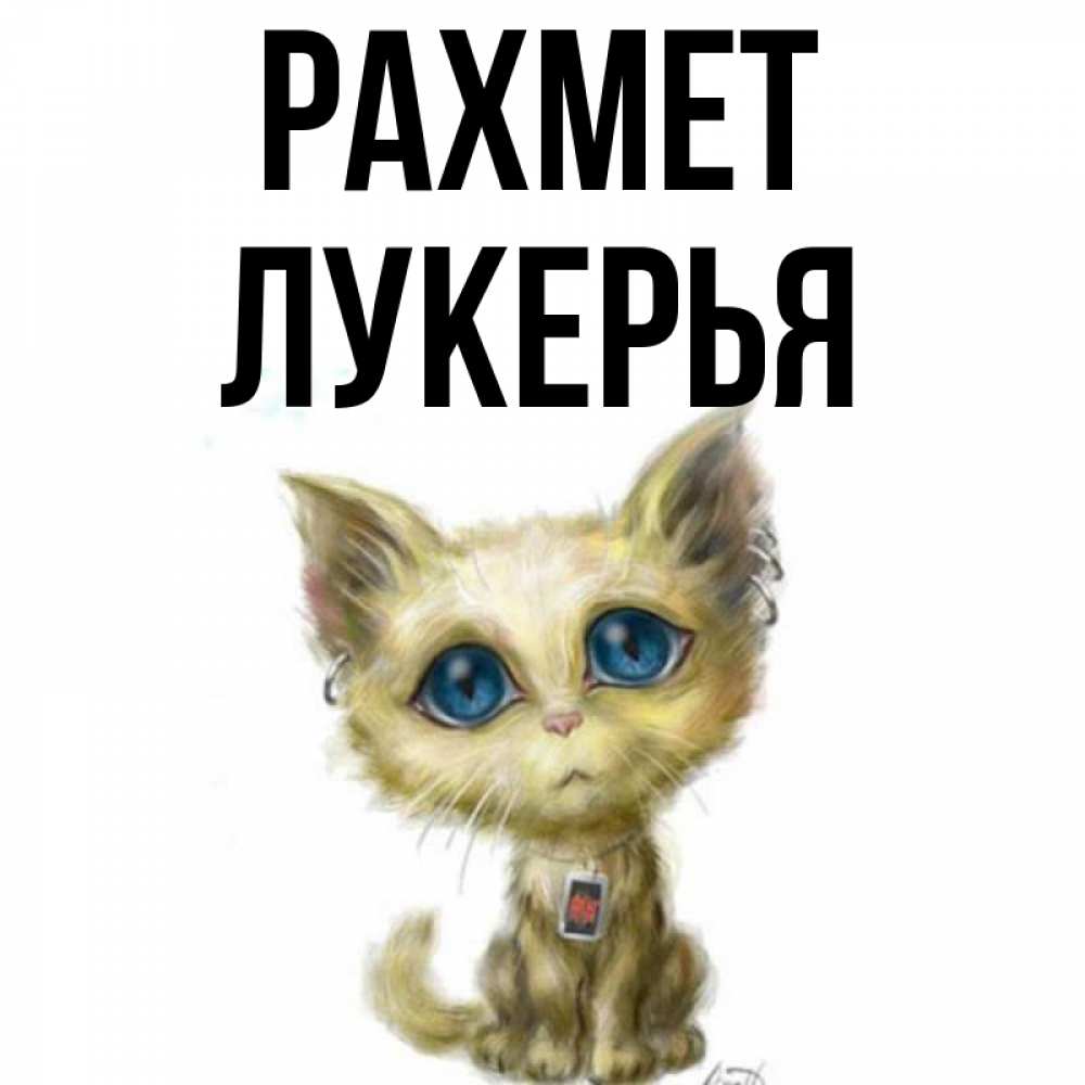 Күн сайын ашық хат с именем, Лукерья рахмет рисованный кот благодарит вас Онлайн тегін жүктеп алу тілектері бар керемет карта 