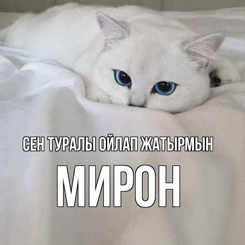 Күн сайын ашық хат с именем, МИРОН Сен туралы ойлап жатырмын я очень по тебе скучаю и тоскую Онлайн тегін жүктеп алу тілектері бар керемет карта 