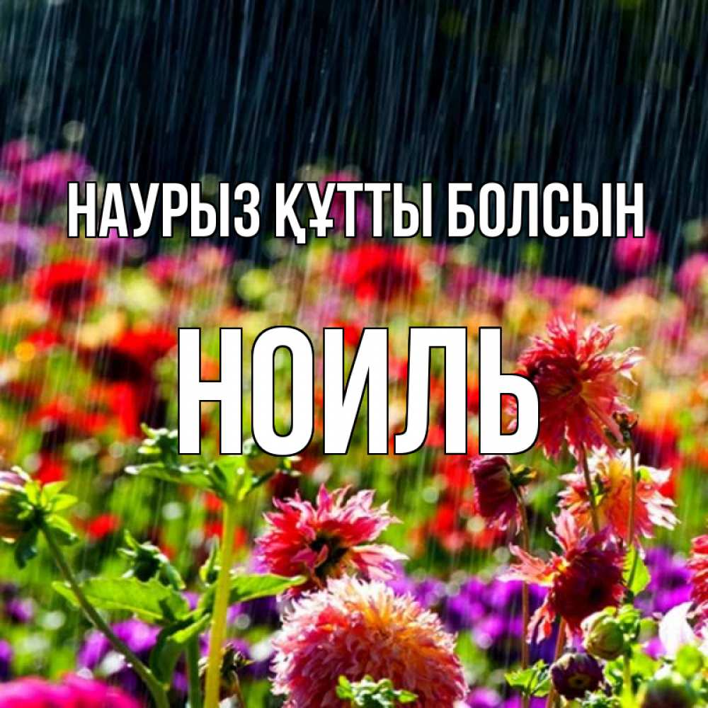 Күн сайын ашық хат с именем, НОИЛЬ Наурыз құтты болсын цветы под дождиком к наурызу Онлайн тегін жүктеп алу тілектері бар керемет карта 