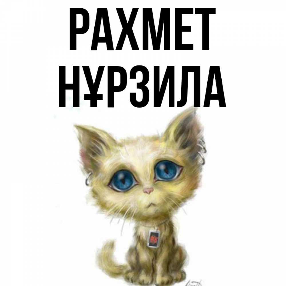 Күн сайын ашық хат с именем, НҰРЗИЛА рахмет рисованный кот благодарит вас Онлайн тегін жүктеп алу тілектері бар керемет карта 