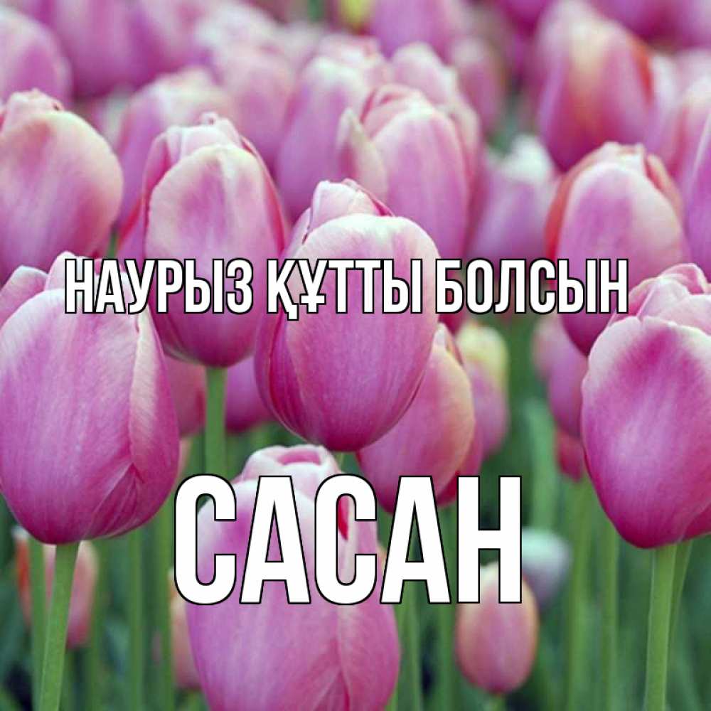 Күн сайын ашық хат с именем, САСАН Наурыз құтты болсын на наурыз  день 3 Онлайн тегін жүктеп алу тілектері бар керемет карта 