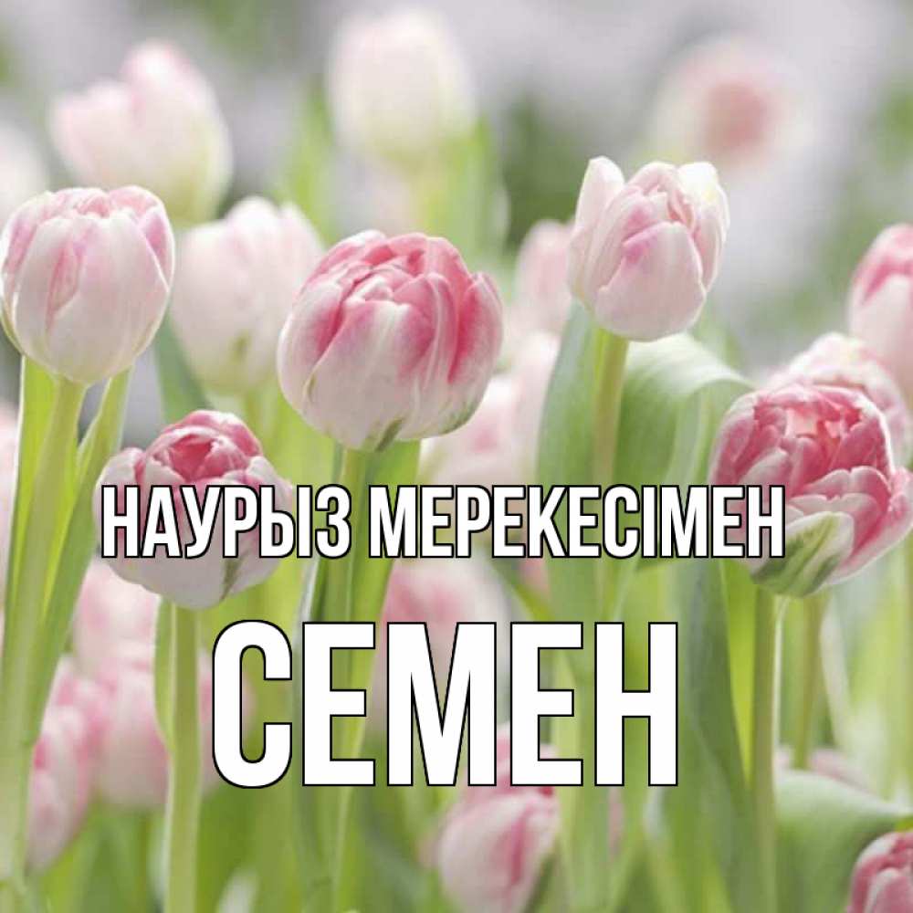 Күн сайын ашық хат с именем, Семен Наурыз мерекесімен цветы Онлайн тегін жүктеп алу тілектері бар керемет карта 