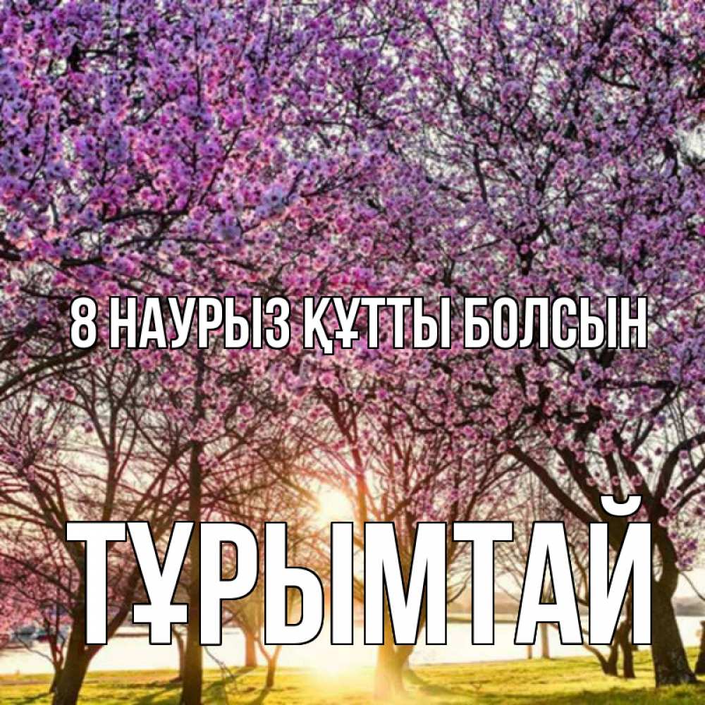 Күн сайын ашық хат с именем, ТҰРЫМТАЙ 8 наурыз құтты болсын международный женский день Онлайн тегін жүктеп алу тілектері бар керемет карта 