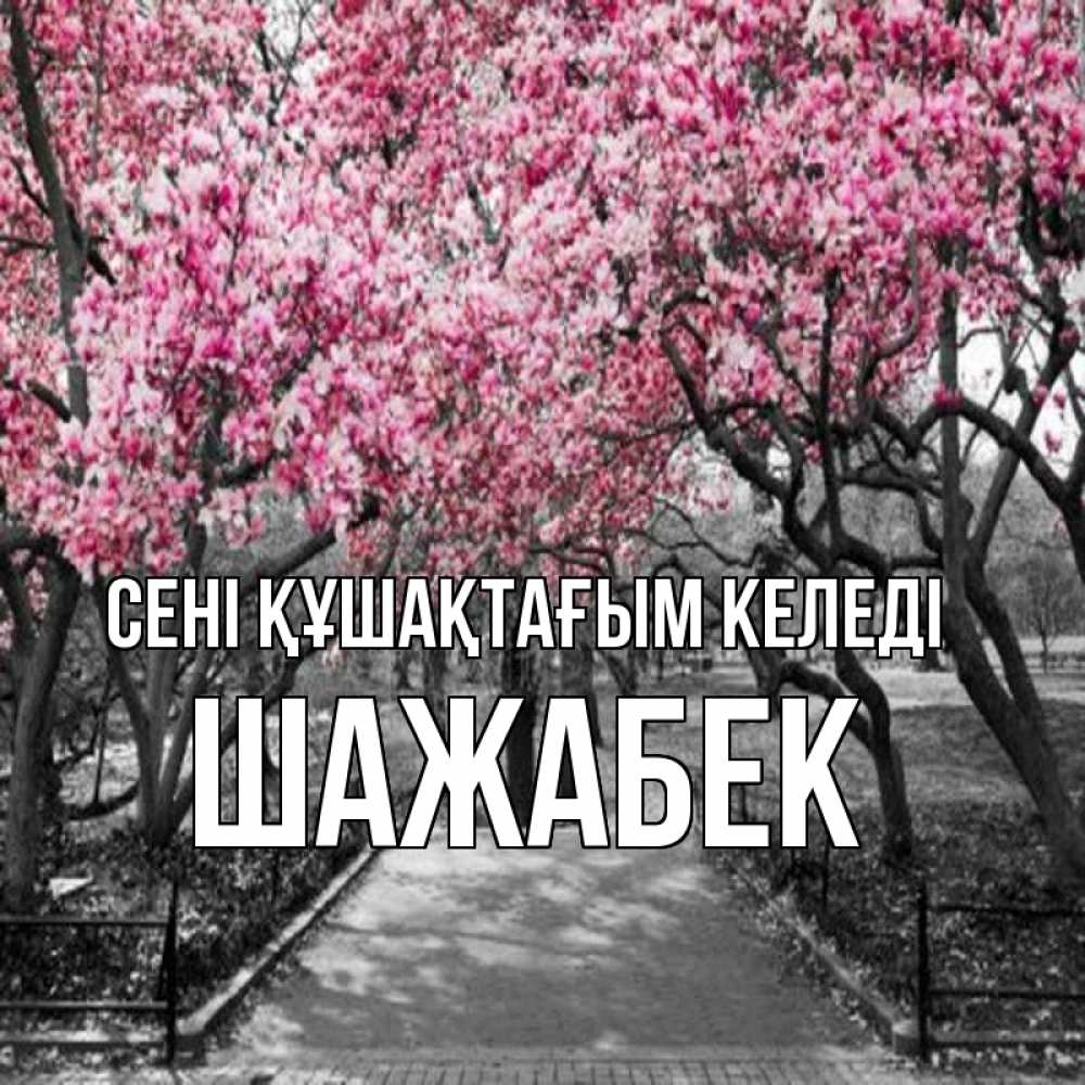 Күн сайын ашық хат с именем, ШАЖАБЕК сені құшақтағым келеді обработанное фото Онлайн тегін жүктеп алу тілектері бар керемет карта 