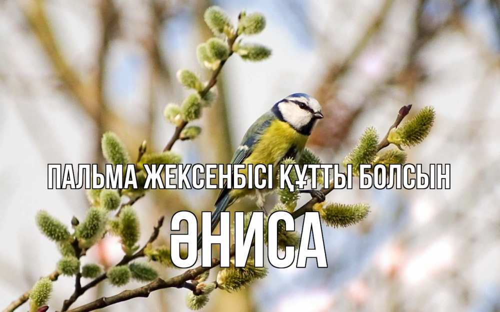 Күн сайын ашық хат с именем, ӘНИСА Пальма жексенбісі құтты болсын верба Онлайн тегін жүктеп алу тілектері бар керемет карта 