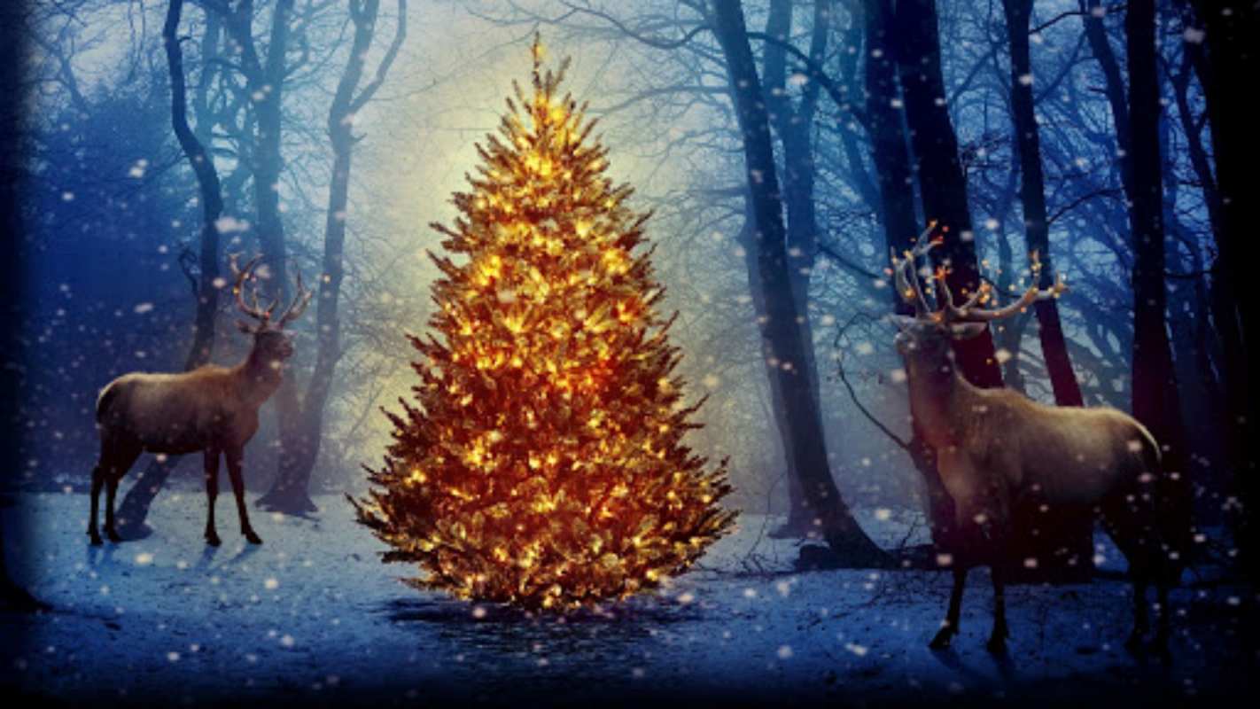Открытка елка в лесу и олени  олени, новогодняя елка  Рождество құтты болсын 