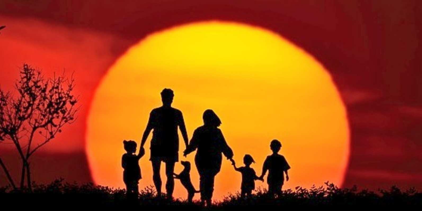 Открытка семья на фоне заката с собакой  закат, семья  отбасы күні құтты болсын 