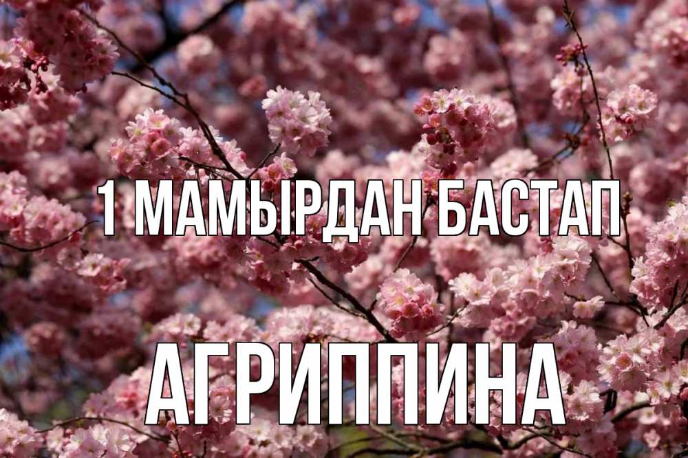 Күн сайын ашық хат с именем, Агриппина 1 мамырдан бастап С 1 мая Онлайн тегін жүктеп алу тілектері бар керемет карта 