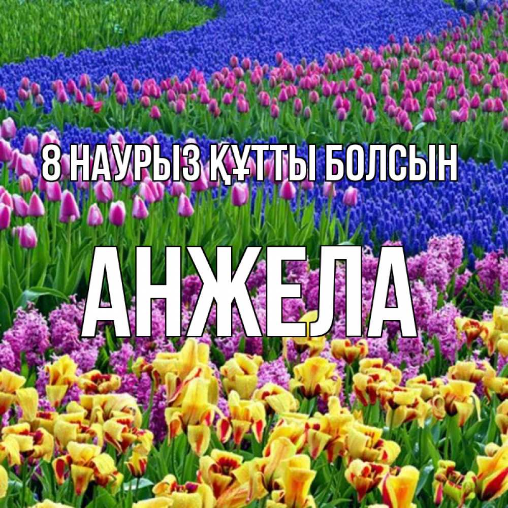 Күн сайын ашық хат с именем, Анжела 8 наурыз құтты болсын цветы Онлайн тегін жүктеп алу тілектері бар керемет карта 