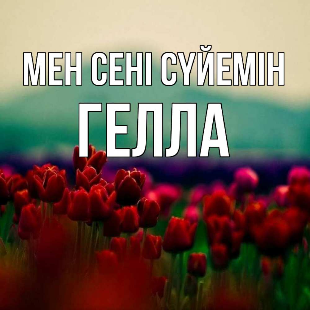 Күн сайын ашық хат с именем, Гелла Мен сені сүйемін тюльпаны 4 Онлайн тегін жүктеп алу тілектері бар керемет карта 