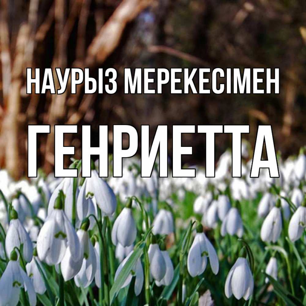 Күн сайын ашық хат с именем, Генриетта Наурыз мерекесімен с подснежниками 1 Онлайн тегін жүктеп алу тілектері бар керемет карта 