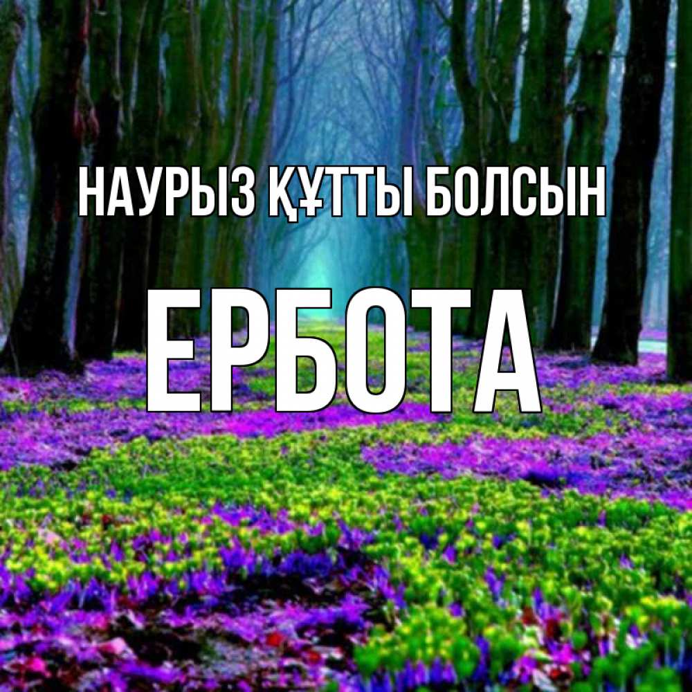 Күн сайын ашық хат с именем, Ербота Наурыз құтты болсын фиолетовые цветы в лесу 1 Онлайн тегін жүктеп алу тілектері бар керемет карта 
