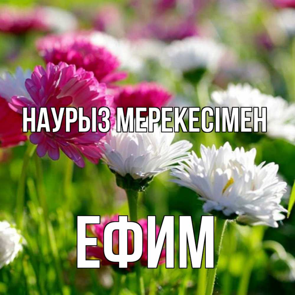 Күн сайын ашық хат с именем, Ефим Наурыз мерекесімен праздник весны наурыз красота Онлайн тегін жүктеп алу тілектері бар керемет карта 