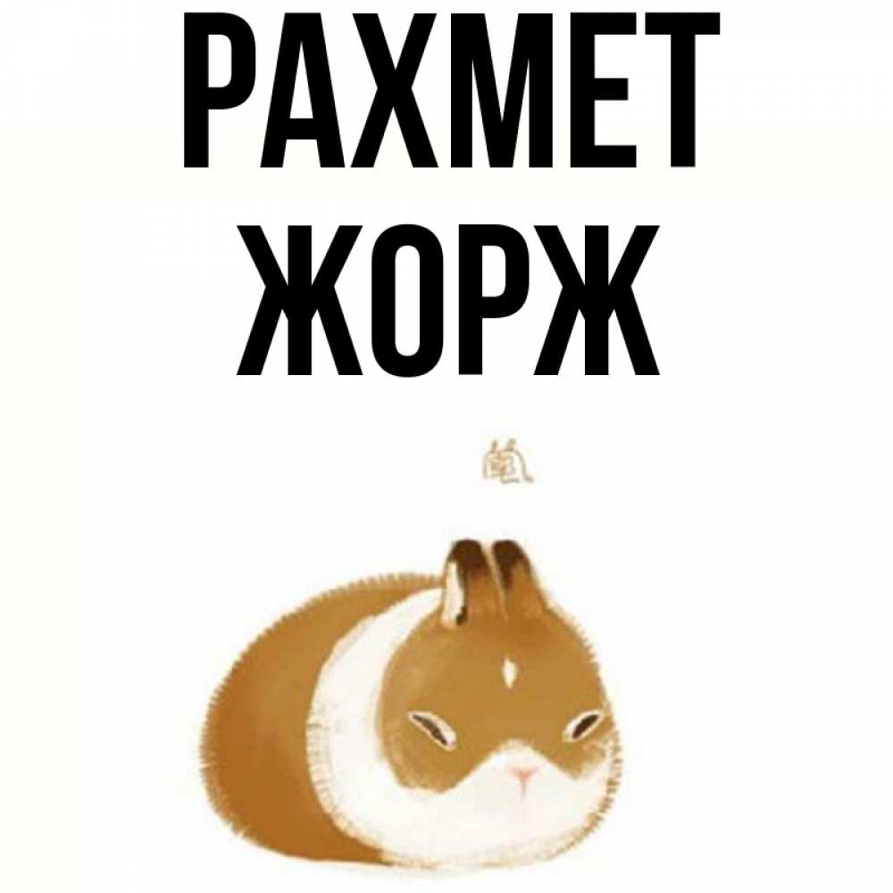 Күн сайын ашық хат с именем, Жорж рахмет коричнево белый домашний питомец Онлайн тегін жүктеп алу тілектері бар керемет карта 
