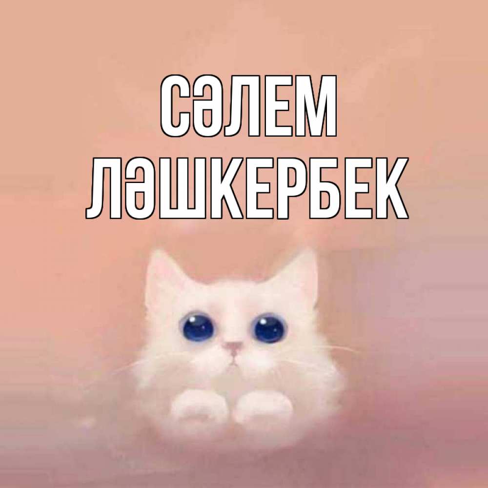 Күн сайын ашық хат с именем, ЛӘШКЕРБЕК Сәлем котик белый в полете Онлайн тегін жүктеп алу тілектері бар керемет карта 