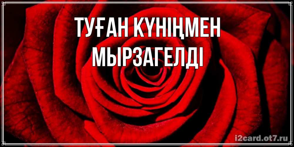 Күн сайын ашық хат с именем, Мырзагелді Туған күніңмен алая роза Онлайн тегін жүктеп алу тілектері бар керемет карта 