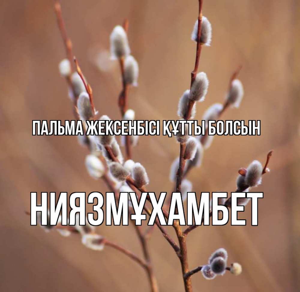 Күн сайын ашық хат с именем, НИЯЗМҰХАМБЕТ Пальма жексенбісі құтты болсын верба Онлайн тегін жүктеп алу тілектері бар керемет карта 