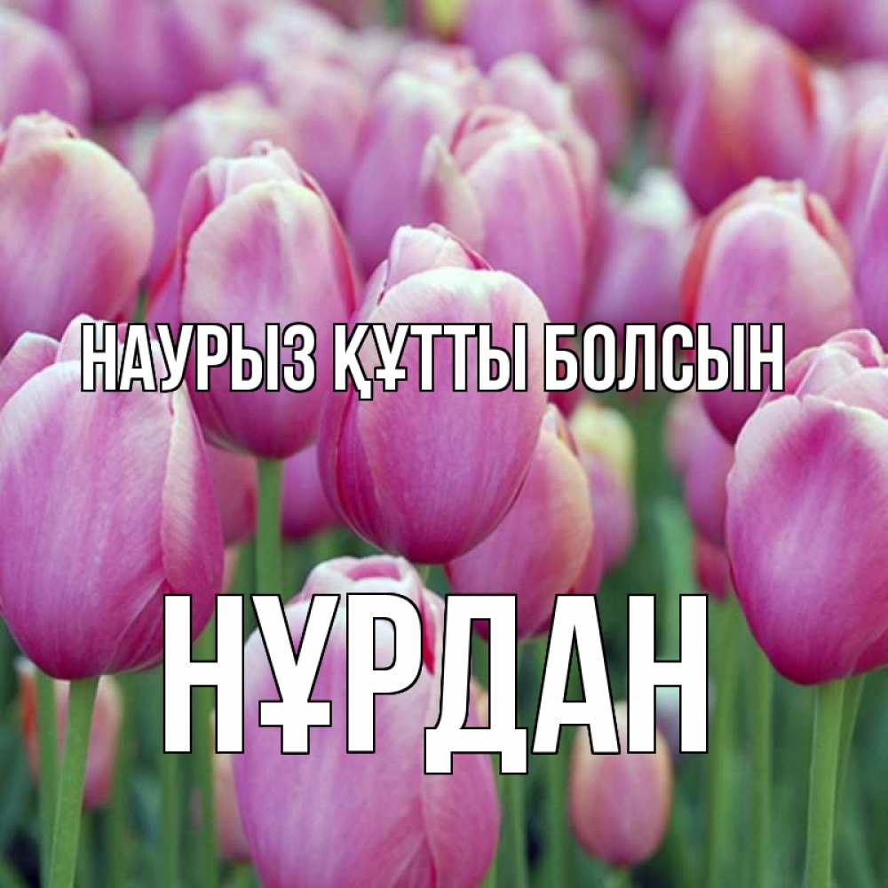 Күн сайын ашық хат с именем, НҰРДАН Наурыз құтты болсын на наурыз  день 3 Онлайн тегін жүктеп алу тілектері бар керемет карта 