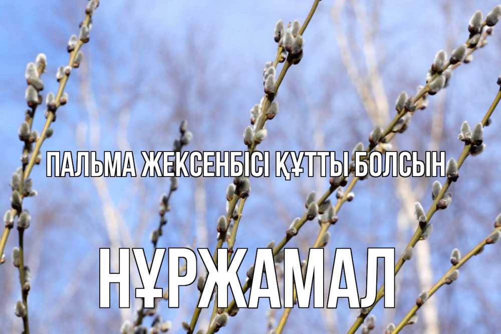 Күн сайын ашық хат с именем, НҰРЖАМАЛ Пальма жексенбісі құтты болсын верба Онлайн тегін жүктеп алу тілектері бар керемет карта 