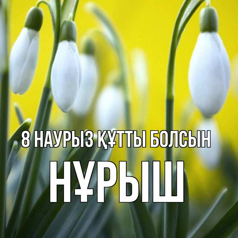 Күн сайын ашық хат с именем, Нұрыш 8 наурыз құтты болсын весенние цветы Онлайн тегін жүктеп алу тілектері бар керемет карта 