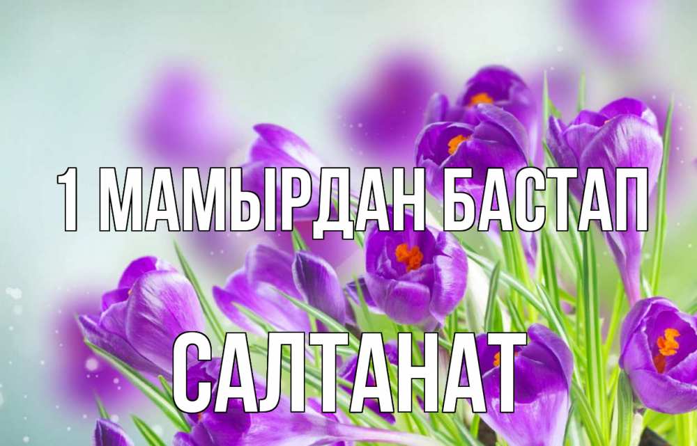 Күн сайын ашық хат с именем, САЛТАНАТ 1 мамырдан бастап 1 мая Онлайн тегін жүктеп алу тілектері бар керемет карта 