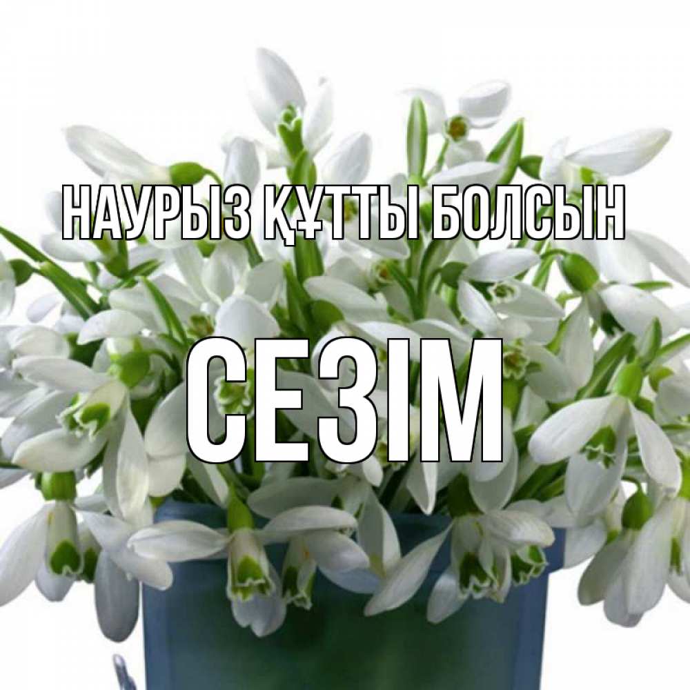 Күн сайын ашық хат с именем, СЕЗІМ Наурыз құтты болсын цветы к наурызу Онлайн тегін жүктеп алу тілектері бар керемет карта 