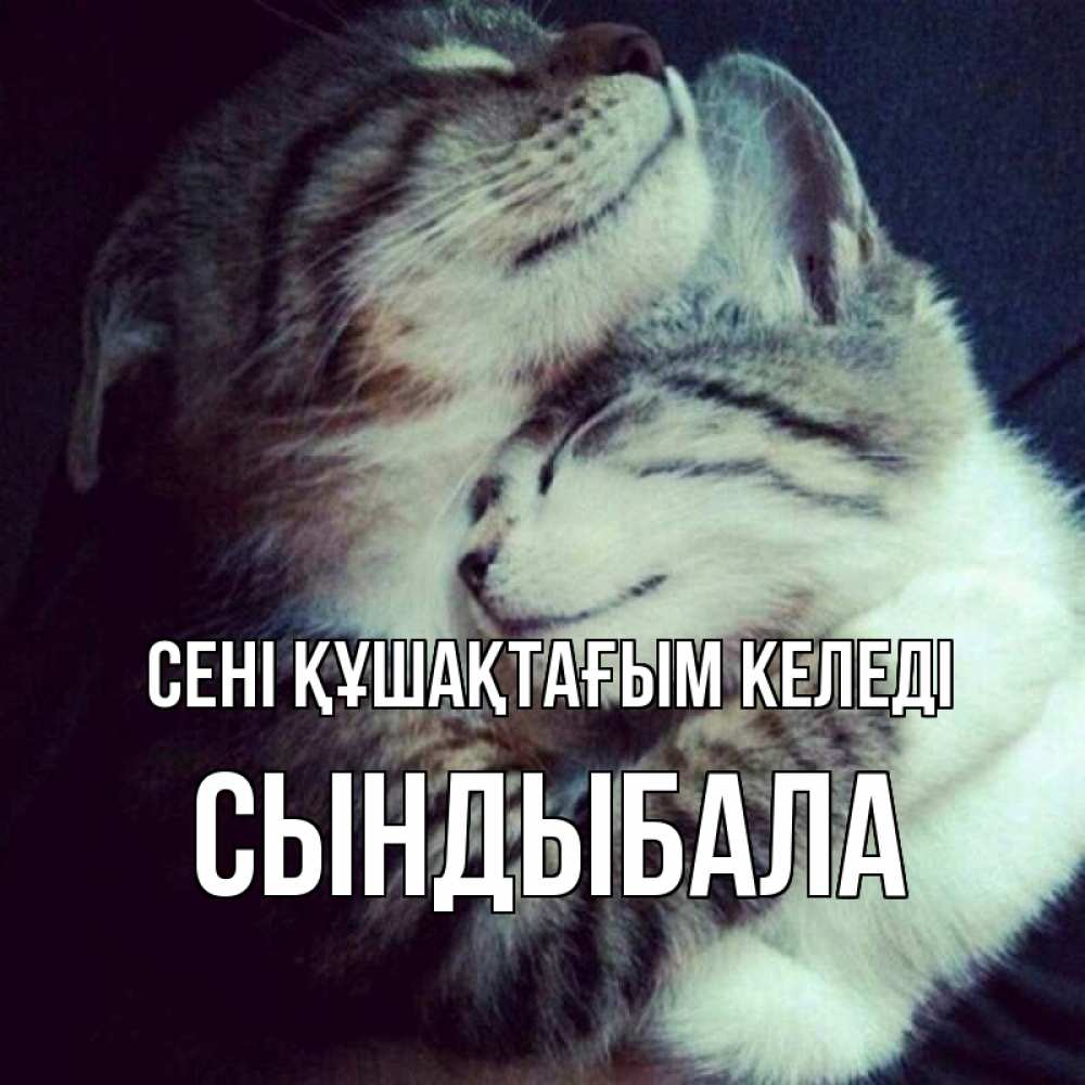 Күн сайын ашық хат с именем, СЫНДЫБАЛА сені құшақтағым келеді полосатики Онлайн тегін жүктеп алу тілектері бар керемет карта 