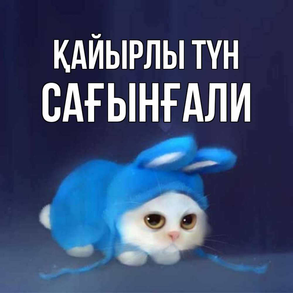 Күн сайын ашық хат с именем, Сағынғали Қайырлы түн кот в голубом костюме кролика с ушками Онлайн тегін жүктеп алу тілектері бар керемет карта 