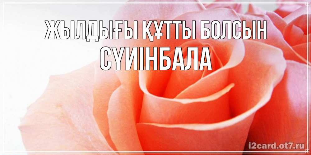Күн сайын ашық хат с именем, СҮИІНБАЛА Жылдығы құтты болсын розы для поздравления с днем рождения Онлайн тегін жүктеп алу тілектері бар керемет карта 