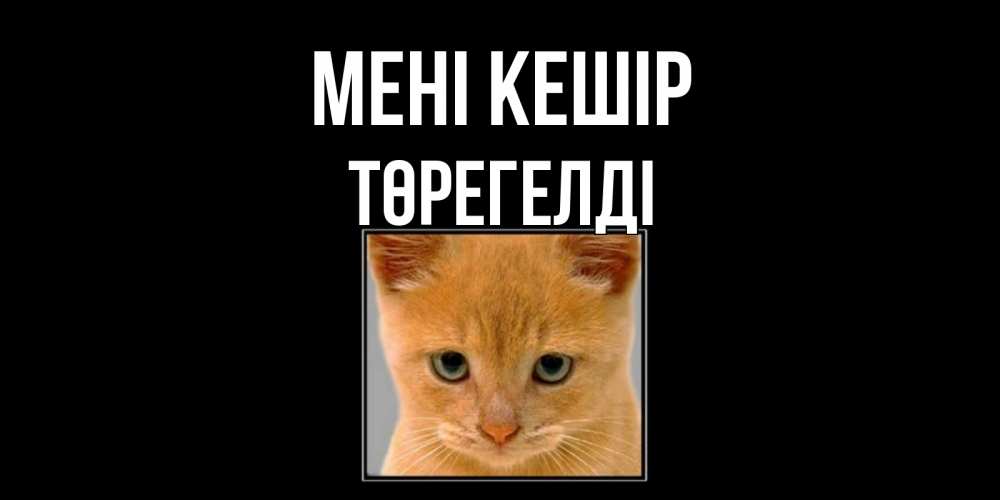 Күн сайын ашық хат с именем, Төрегелді Мені кешір рыжий грустный кот просит прощения Онлайн тегін жүктеп алу тілектері бар керемет карта 