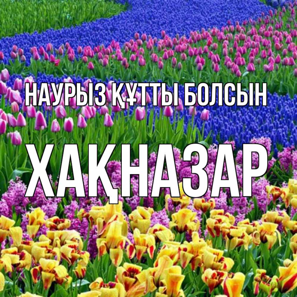 Күн сайын ашық хат с именем, ХАҚНАЗАР Наурыз құтты болсын цветы Онлайн тегін жүктеп алу тілектері бар керемет карта 