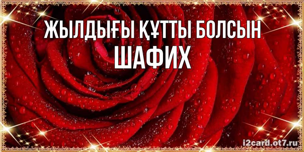 Күн сайын ашық хат с именем, ШАФИХ Жылдығы құтты болсын роса на розе блестящая в лучах солнца Онлайн тегін жүктеп алу тілектері бар керемет карта 