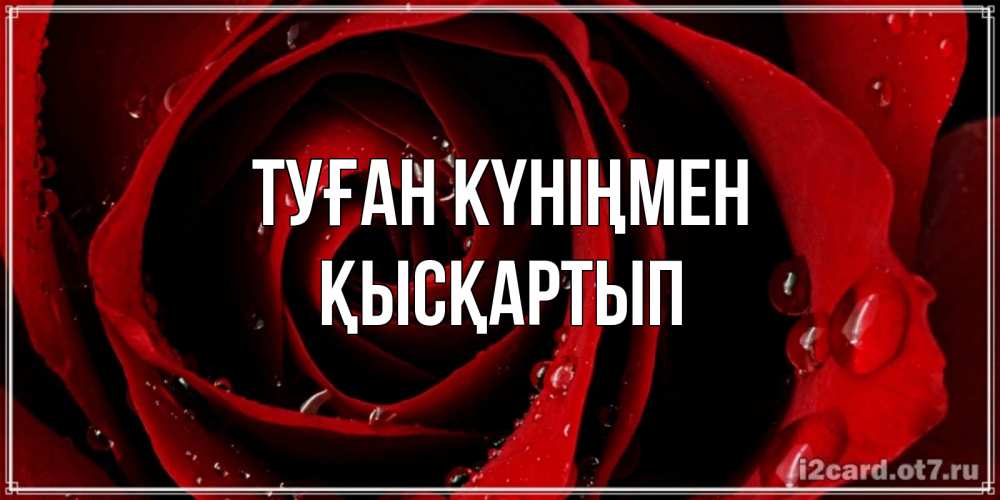 Күн сайын ашық хат с именем, Қысқартып Туған күніңмен крупная бордовая роза Онлайн тегін жүктеп алу тілектері бар керемет карта 