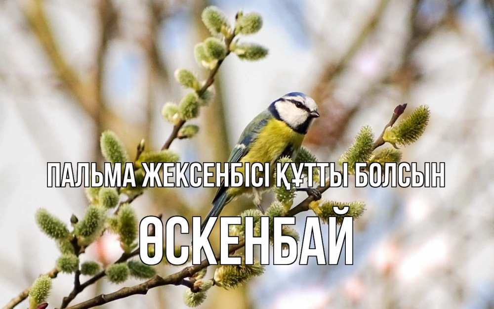 Күн сайын ашық хат с именем, ӨСКЕНБАЙ Пальма жексенбісі құтты болсын верба Онлайн тегін жүктеп алу тілектері бар керемет карта 