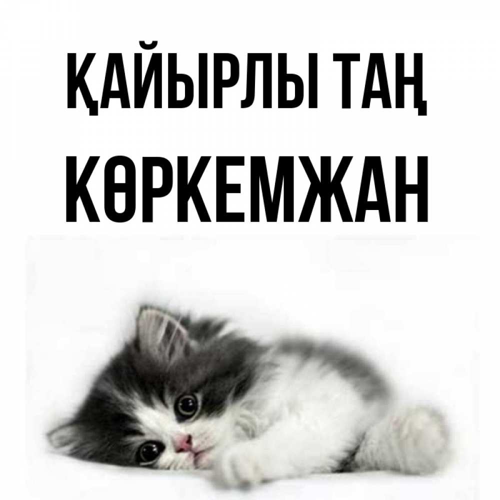 Күн сайын ашық хат с именем, Көркемжан Қайырлы таң кот лапки Онлайн тегін жүктеп алу тілектері бар керемет карта 