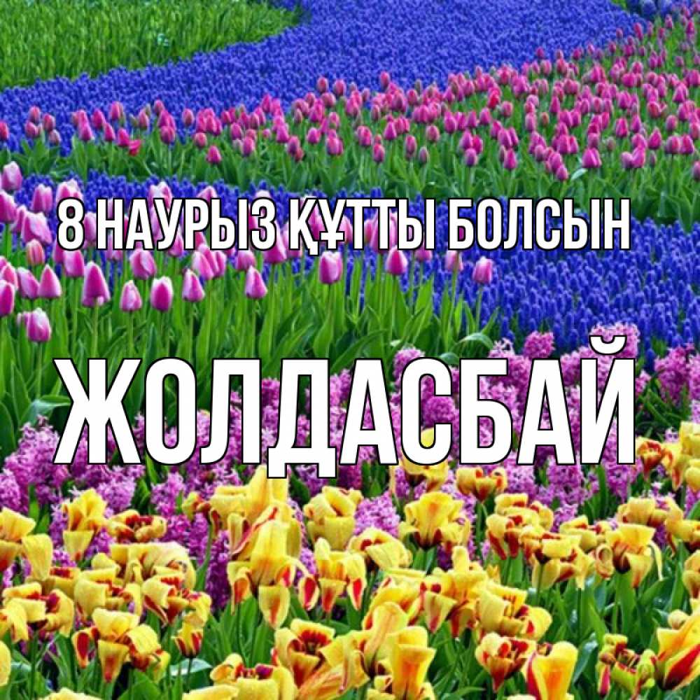Күн сайын ашық хат с именем, Жолдасбай 8 наурыз құтты болсын цветы Онлайн тегін жүктеп алу тілектері бар керемет карта 